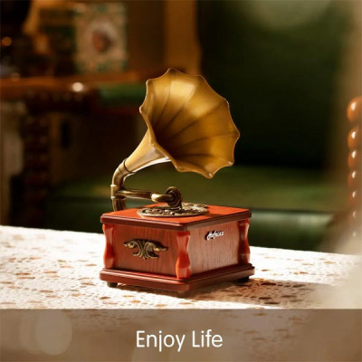 Eikosch Portable Bluetooth Speakers, Mini Phonograph